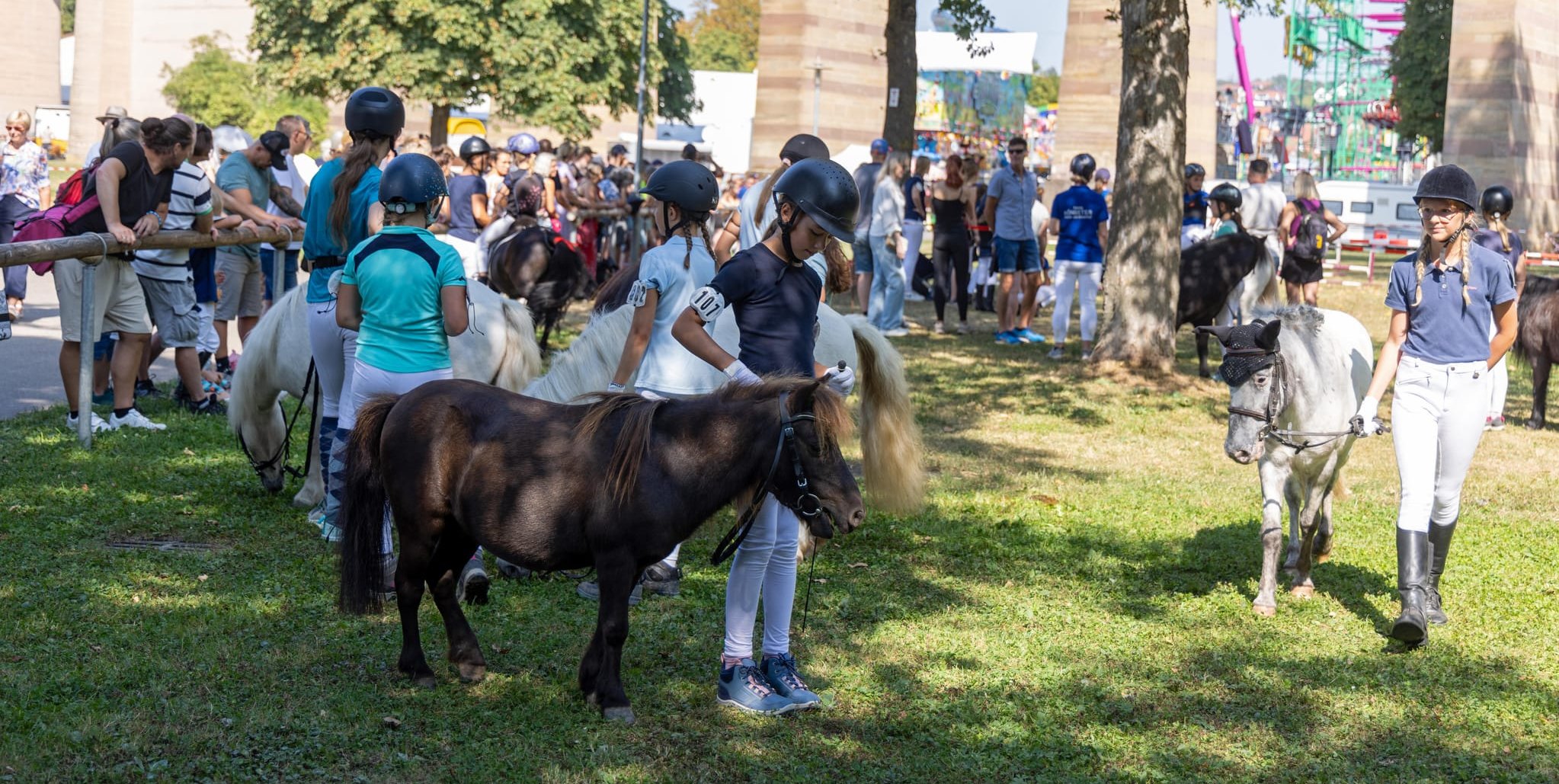 Horses, classic cars and forest adventures: Three excursion tips for the ...