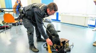Spürhund mit Hundeführer: Die Tasche des Fotografen ist unverdächtig. Bilder: Dettenmeyer