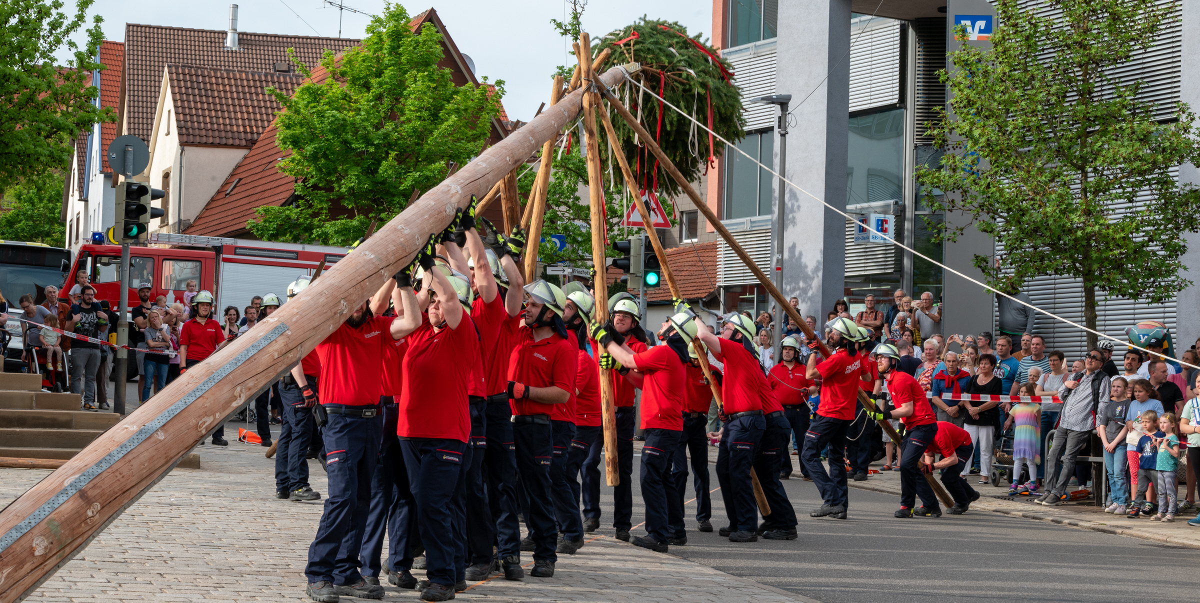 Stück für Stück wird mit Stangen der Baum in die Höhe gebracht.