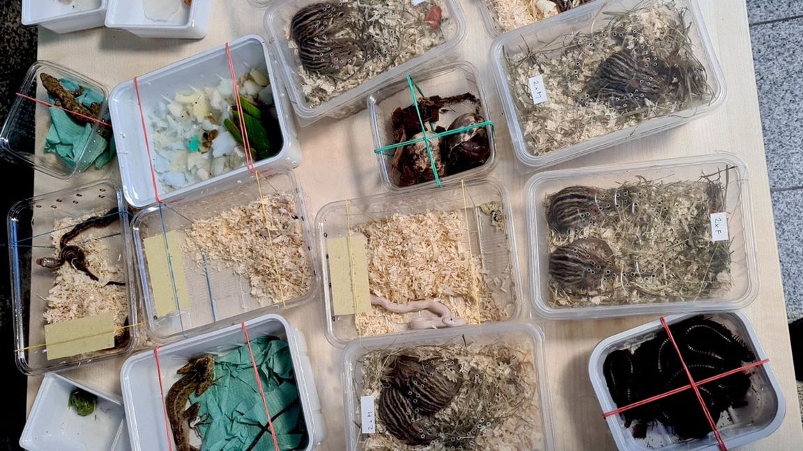 Die Behältnisse waren unzureichend gesichert.