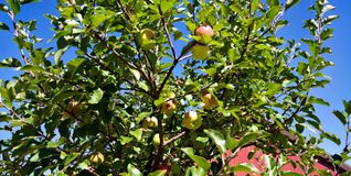 Kursteilnehmer können die Theorie im Rahmen einer praktischen Übung vertiefen.