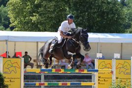 Ein Fehler kostet Julian Stahl den Sieg beim S-Springen in Waldenbuch. Bild: Häusler
