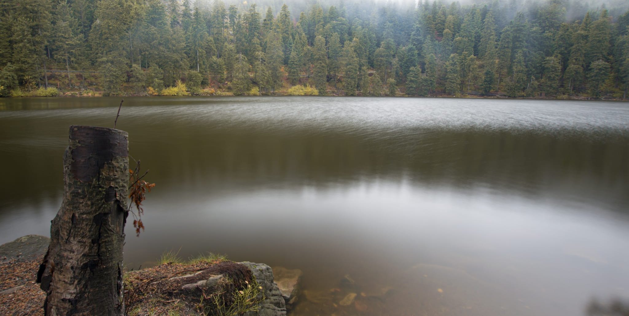 Der Mummelsee im Herbst.