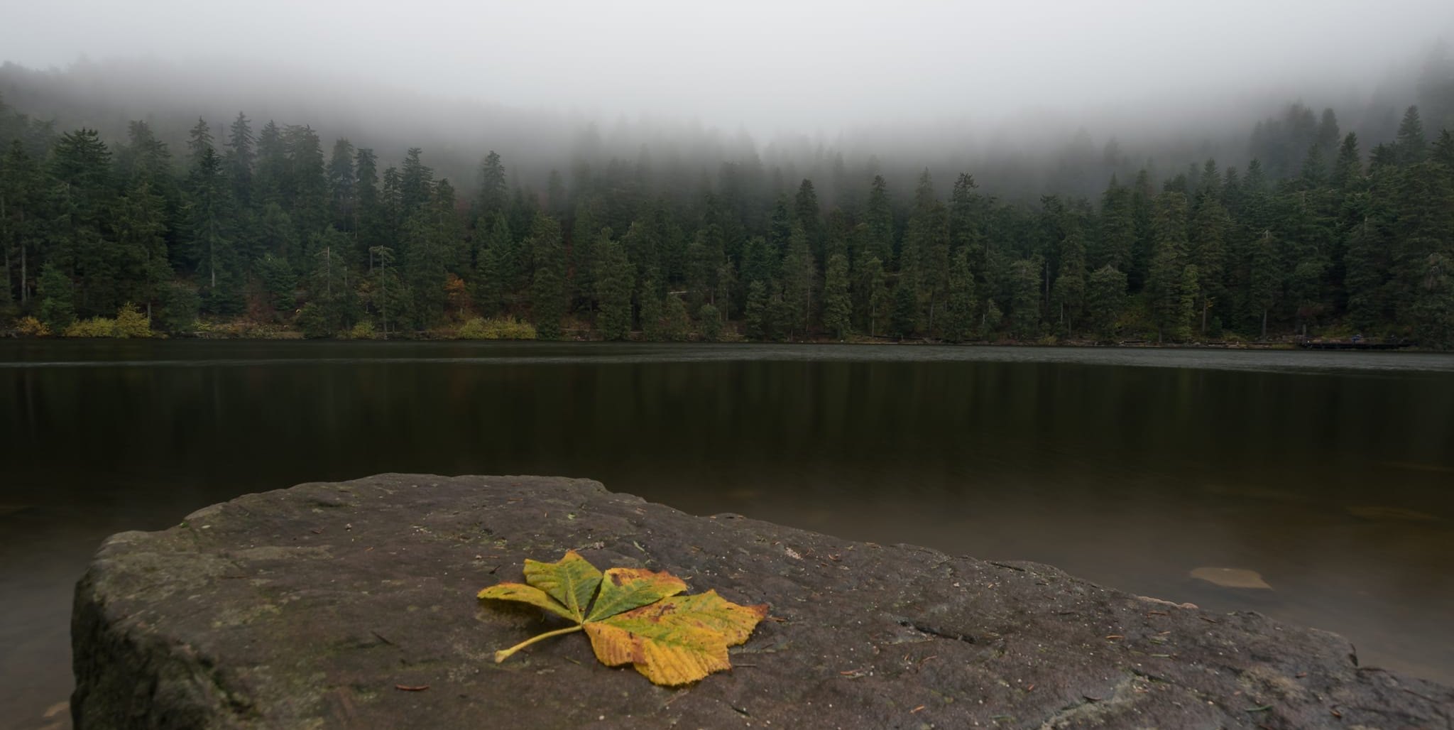 Natur und Mythen: der Schwarzwald