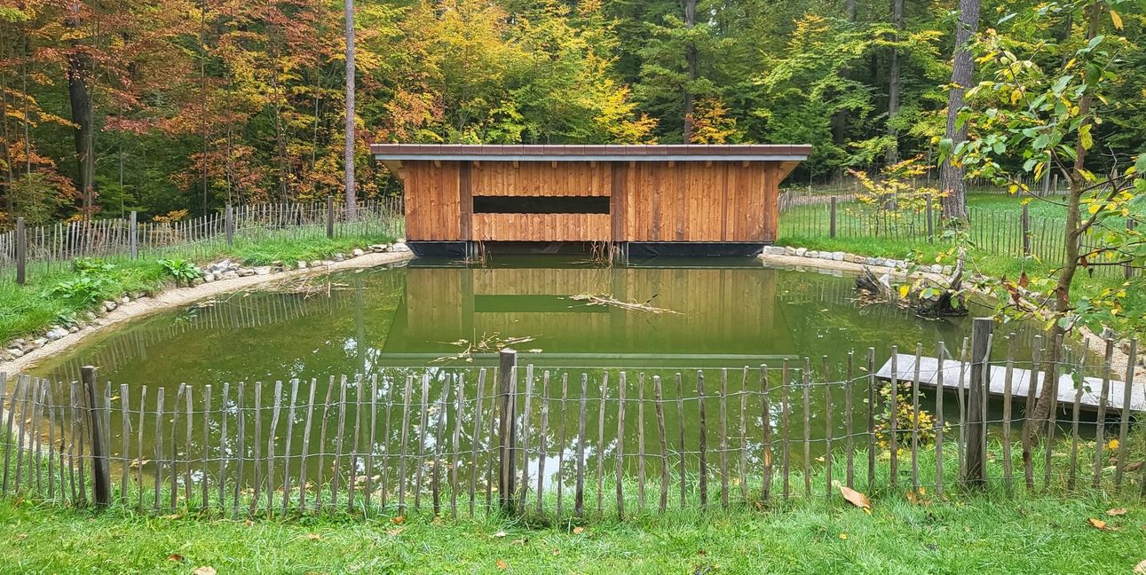 Natur- und Waldpädagogik: Am Sindelfinger Waldzentrum gehört das 2024 eröffnete Teichkino zum Umweltbildungsangebot.