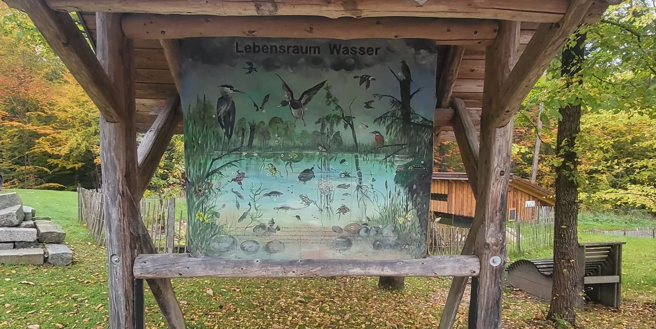 Mit anschaulichen Tafeln erklärt es, wer und was im Lebensraum Wasser zu Hause ist.