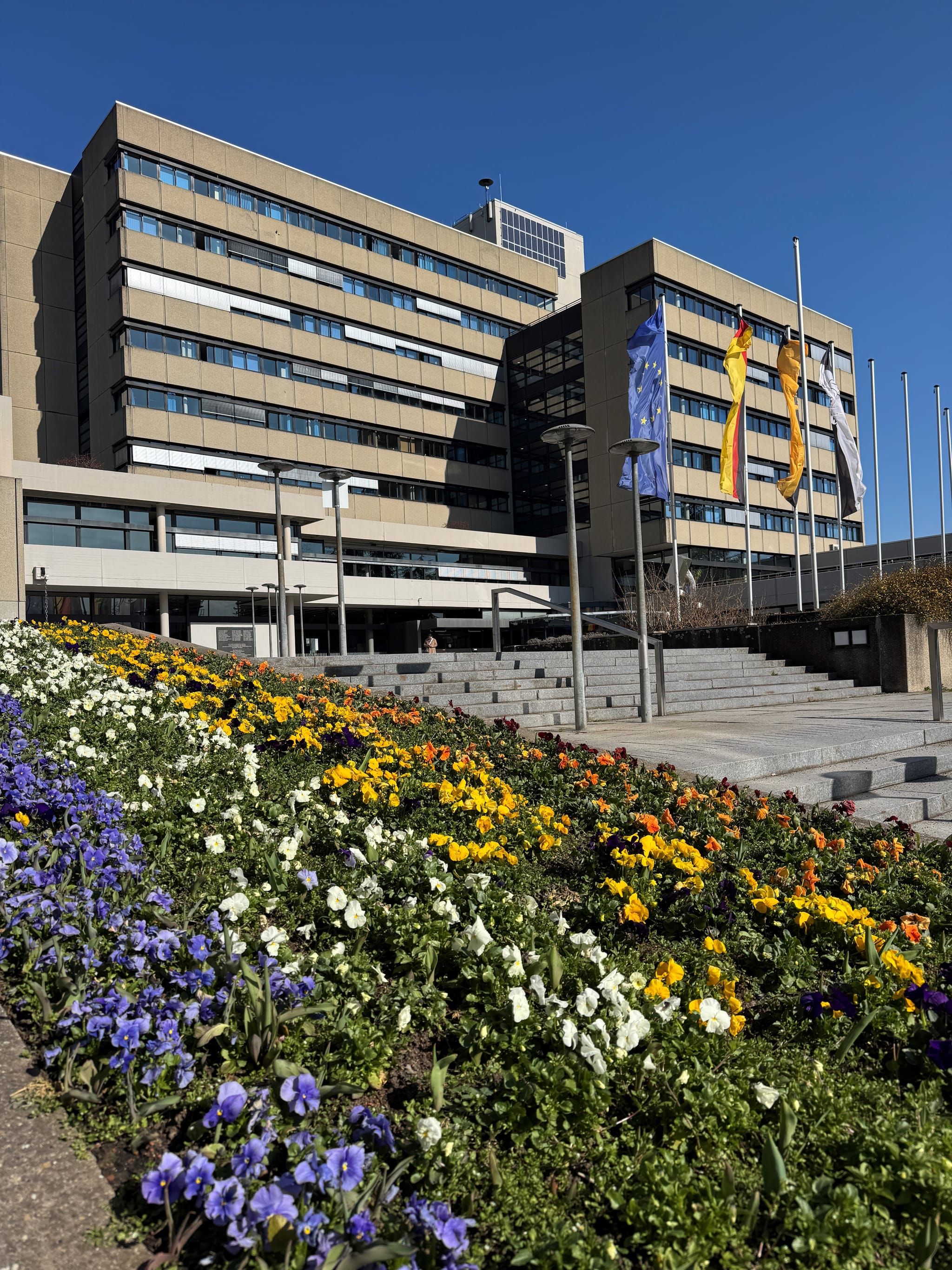 Vor dem Sindelfinger Rathaus bringen bunte Blumenbeete den Frühling in die Stadt.