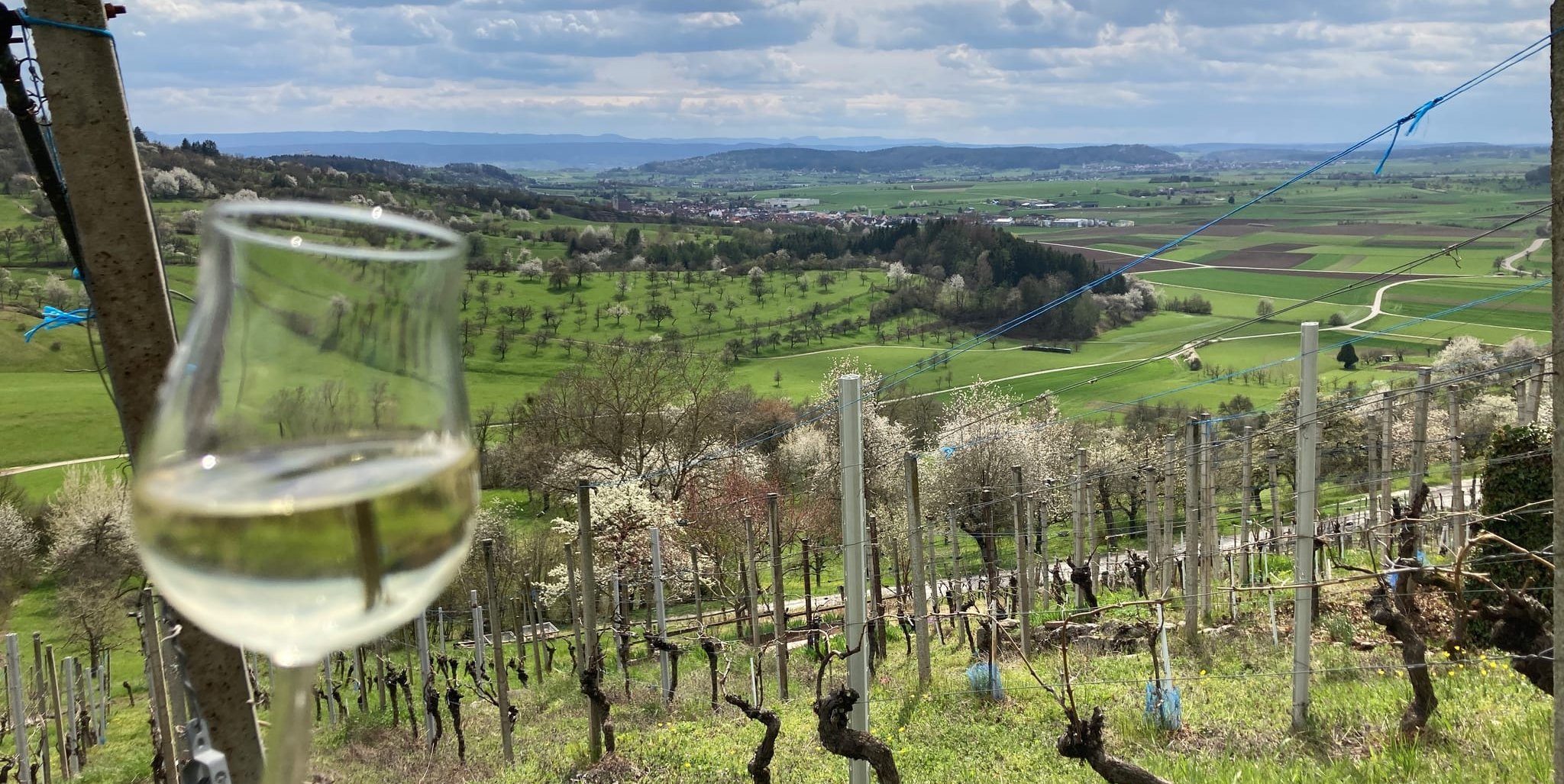 Auf ein Glas im Weinberg, heißt es am Sonntag, 17. Mai.