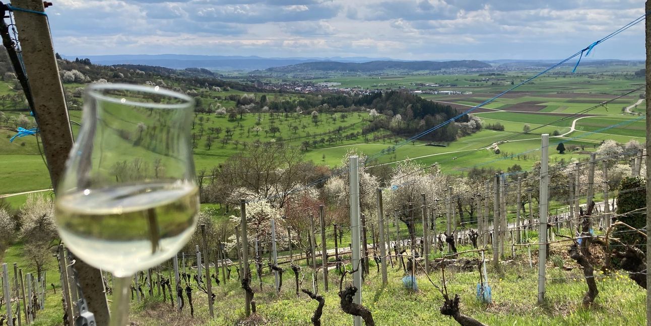 Auf ein Glas im Weinberg, heißt es am Sonntag, 17. Mai.