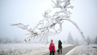 Schnee zu Weihnachten wird es nur vereinzelt geben.