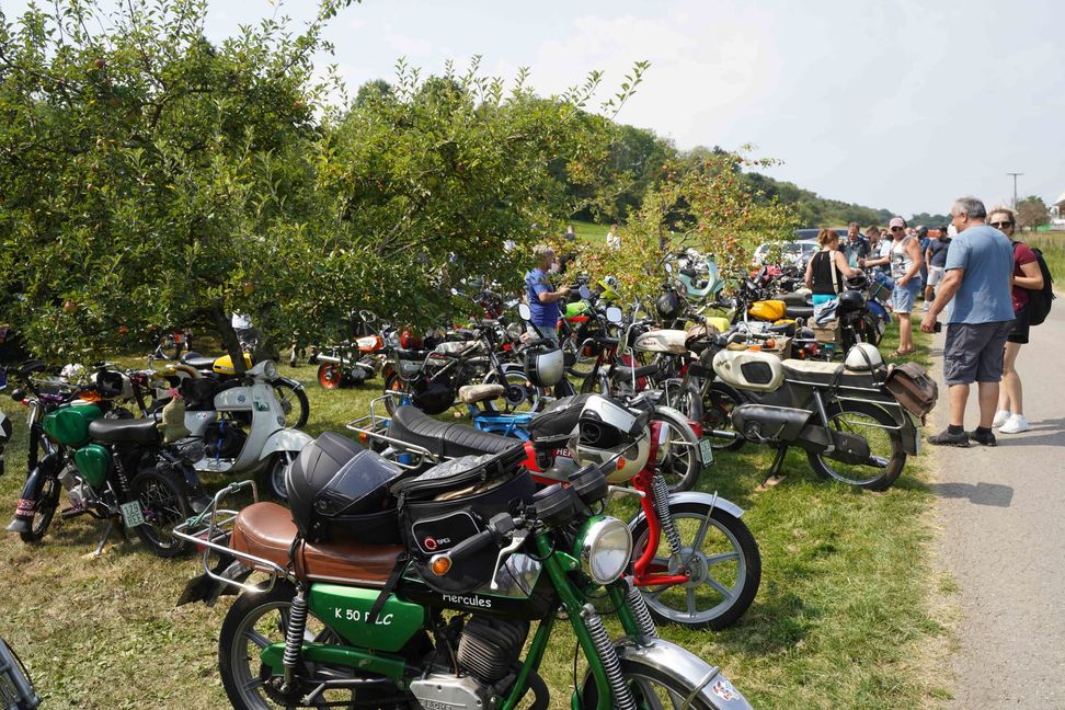 Mopeds, so weit das Auge reicht.