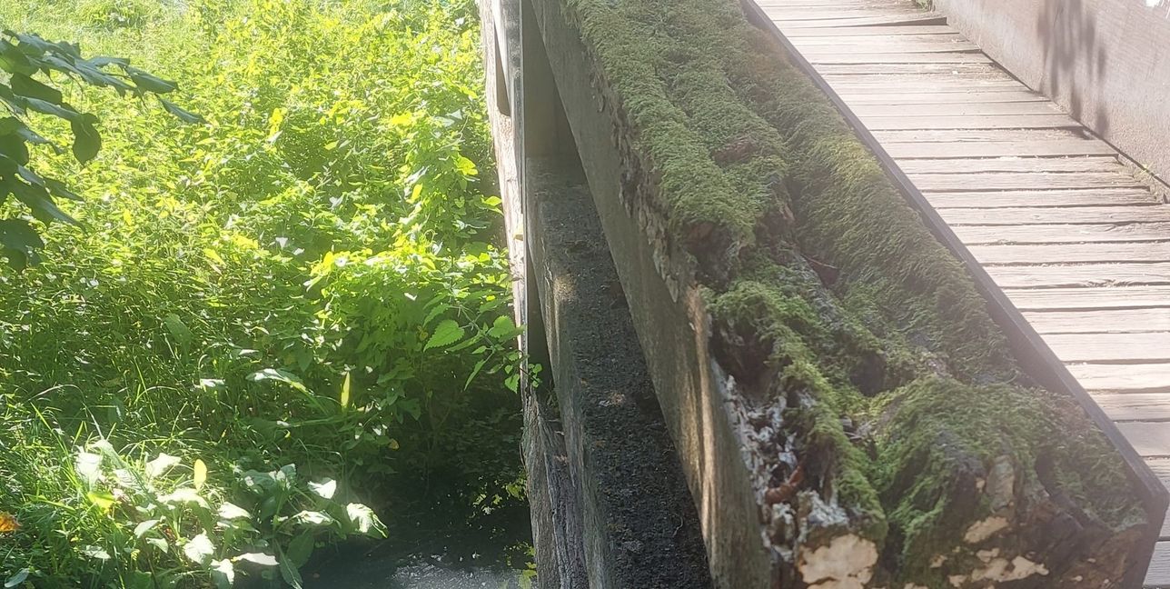 Moos auf dem Geländer: Ein ordentlicher Handlauf sieht anders aus.