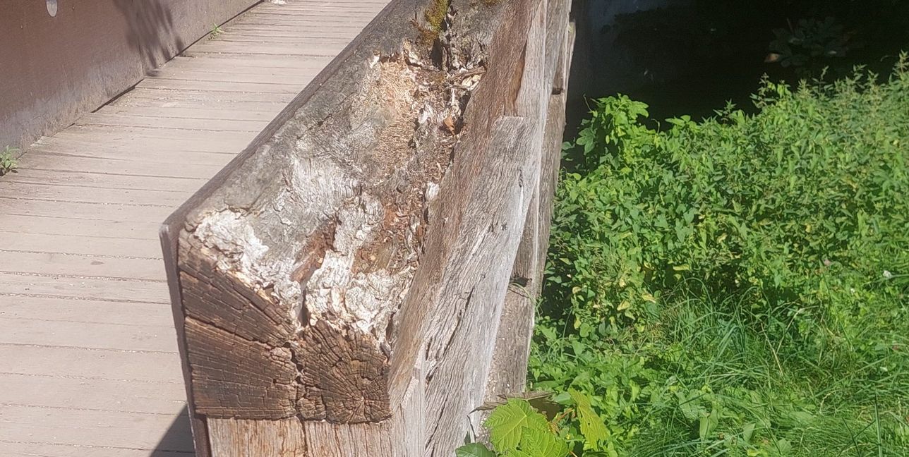 Morsch und mürbe ist das Gebälk.