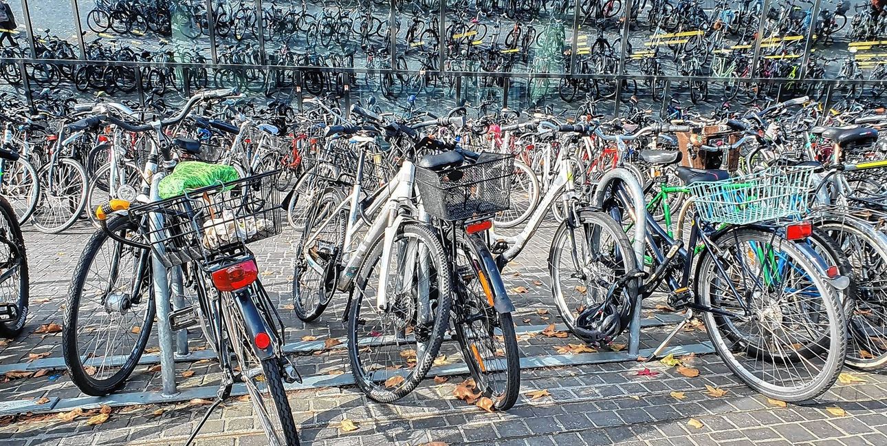 Auch die Stadt Sindelfingen beteligt sich seit dem Wochenende an der Aktion „Stadtradeln“.