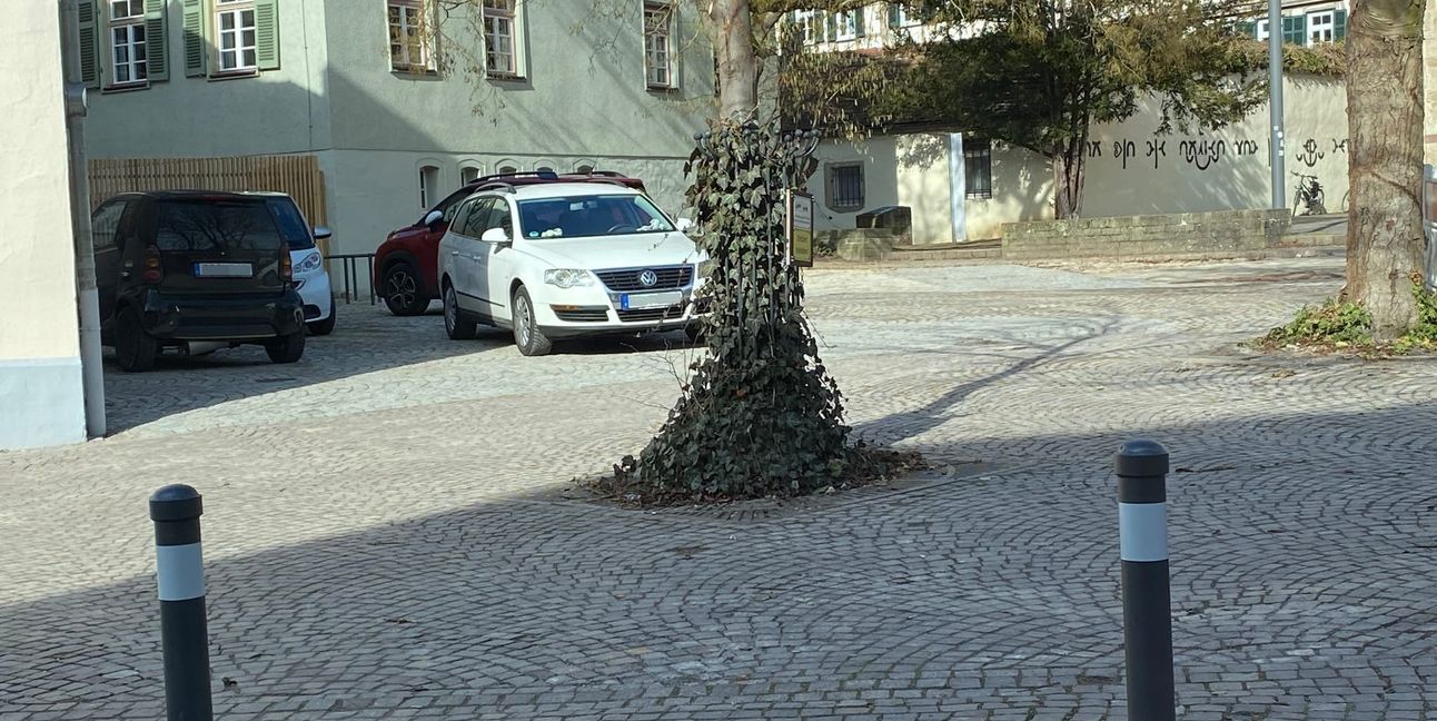 Die Poller in der Stiftstraße sollten eigentlich verhindern, dass Autos auf das Gelände fahren.