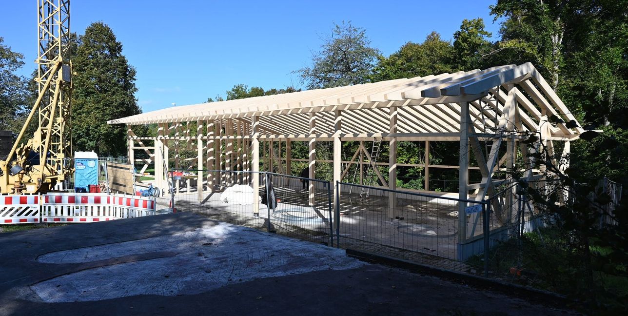 Nach bürokratischen Hürden wächst die Blockhütte endlich wieder empor.