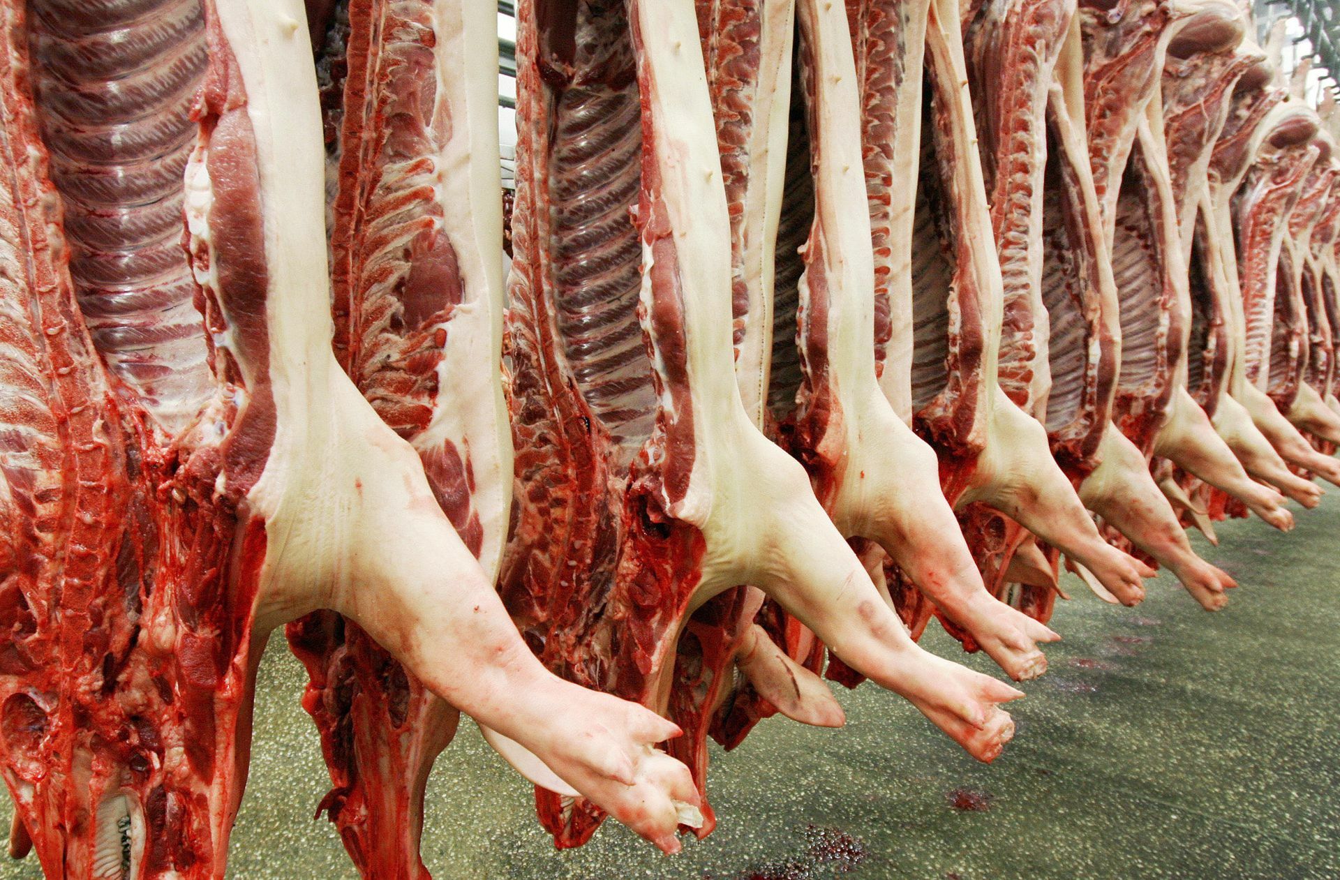 Tierärzte wehren sich gegen den Vorwurf, an den Tierschutzverstößen in baden-württembergischen Schlachthöfen mit schuld zu sein.