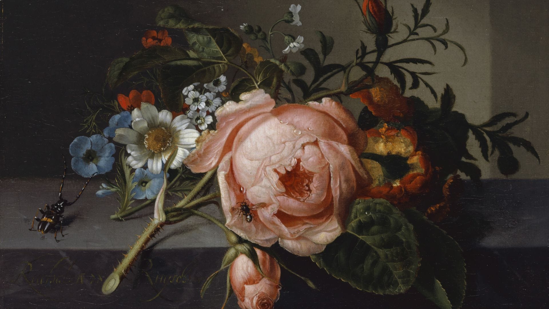 Magisch schön:  die Bilder von Rachel Ruysch.