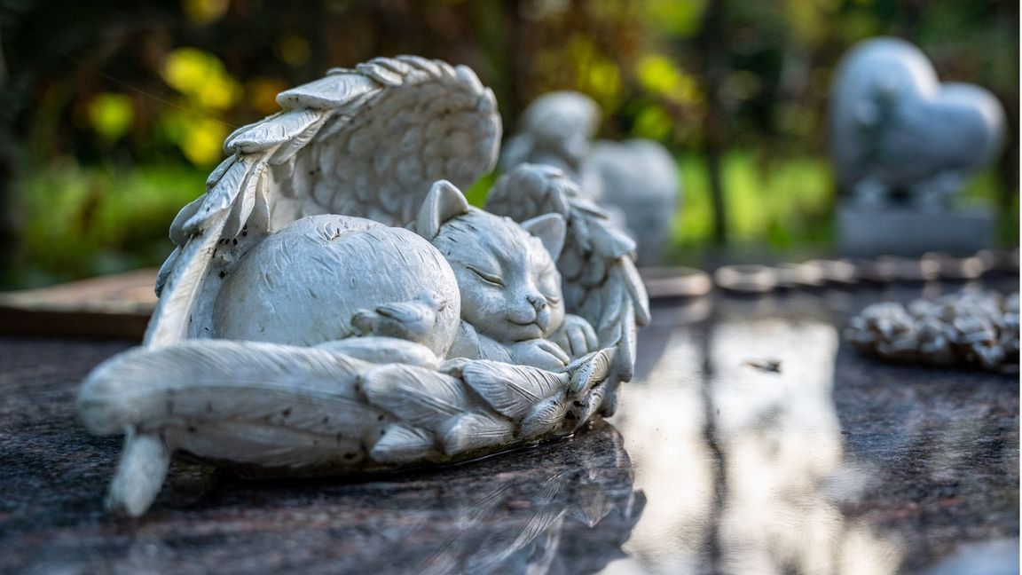 Wenn das Tier stirbt, kann die Trauer ähnlich stark empfunden werden wie für einen Menschen. Während sich Familien gemeinsam beerdigen lassen können, geht das bei Tieren nur selten.