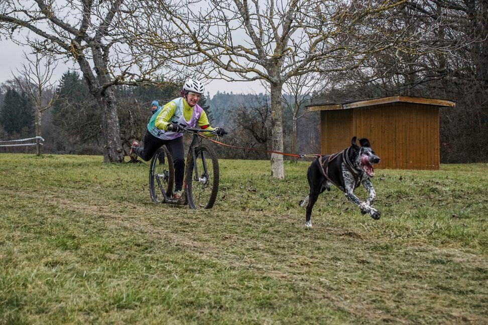Im gestreckten Galopp auf der Zielgeraden. Bild: Dettenmeyer