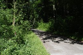 In einem Waldstück östlich von Sindelfingen, in der Nähe des Radschnellwegs, wurde die Leiche einer 38-jährigen Frau gefunden.