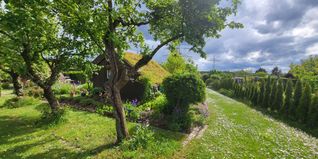 Die idyllischen Gärten zeigen die Vielfalt der rund 96 Parzellen – geprägt von unterschiedlichen Menschen, Kulturen und Herangehensweisen.