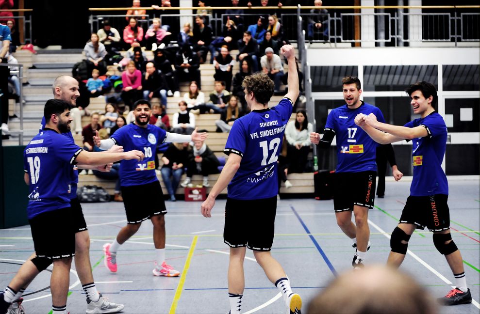 Erfolgreiches Saisonfinale für die VfL-Volleyballer. Bild: photostampe