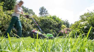 Kurz getrimmt oder dichtes Gras? Für Gartenliebhaber sowie für Tiere hat es viele Vorteile, wenn seltener gemäht wird.