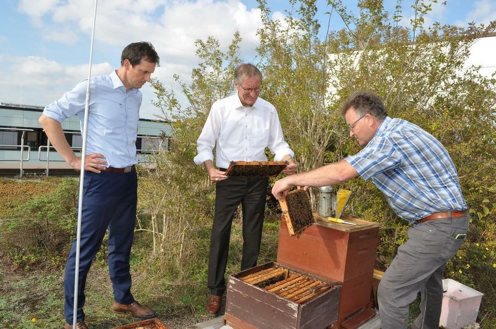 v.l.n.r.: Martin Wuttke, stv. Landrat, Landrat Roland Bernhard, Manfred Nuber (Fachberater Obst und Gartenbau)