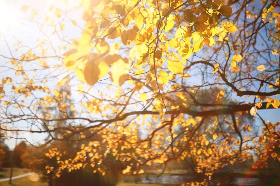 Von einer Hitzewelle sind wir weit entfernt.