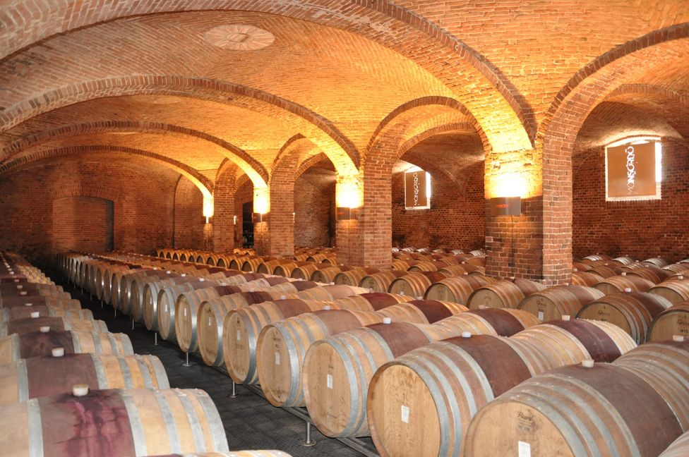 Die großen Weine aus Alba gehören bei den Kulinarischen Genüssen dazu.