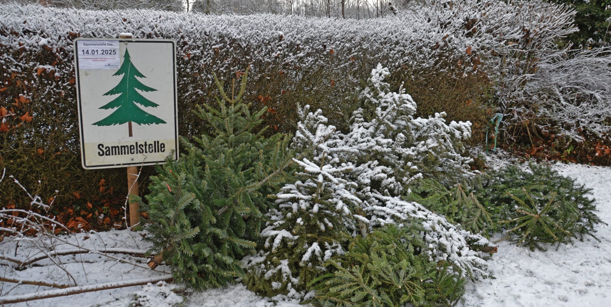 Sammelstelle an der Ecke Nüßstraße/Königsberger Straße in Sindelfingen.