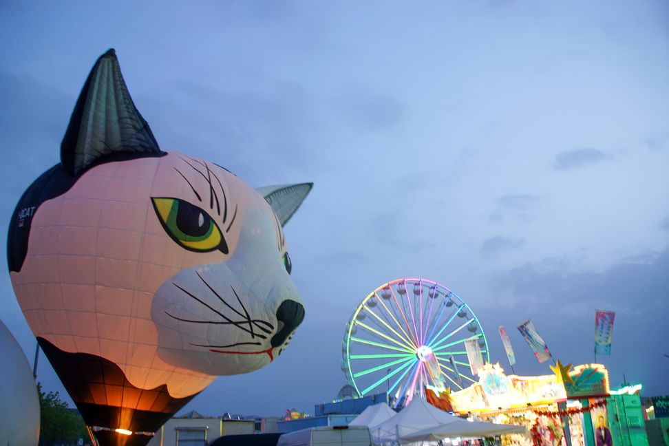Modell-Heißluftballons auf dem Flugfeld-Festplatz.