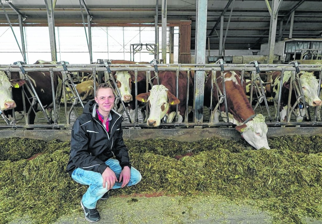 Zum Glück im Stall: Gerd Kaufmann