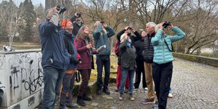Wer singt denn da so schön? Vogelbeobachtung bei der Vogelmittagspause.