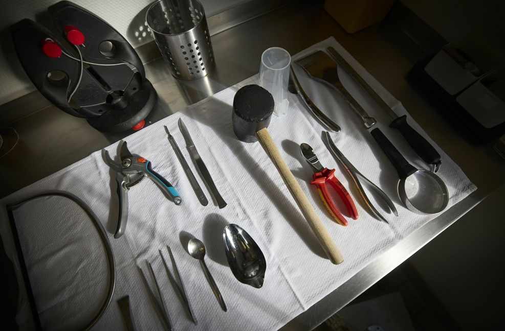 Eindrücke aus dem Sektionssaal