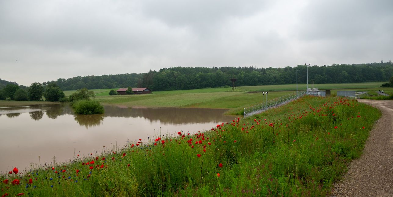 Wasser auf den Feldern, dank des Dammbauwerks konnte ein Hochwasser innerorts vermieden werden.