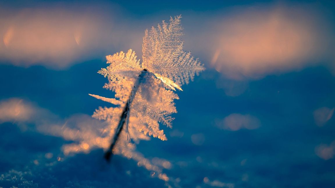 Eisige Temperaturen können für Menschen ohne Wohnung lebensgefährlich sein.