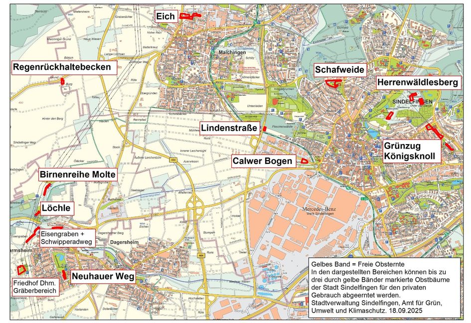 Unsere Grafik zeigt ein Übersichtskarte zu markierten Obstbäumen auf Sindelfinger Gemarkung.