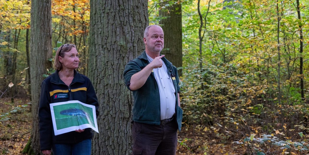 Die stellvertretende Leiterin des Amts für Forsten im Landratsamt, Alexandra Radlinger und Revierförster Jochen Müller zum Thema „Eichenprachtkäfer“.