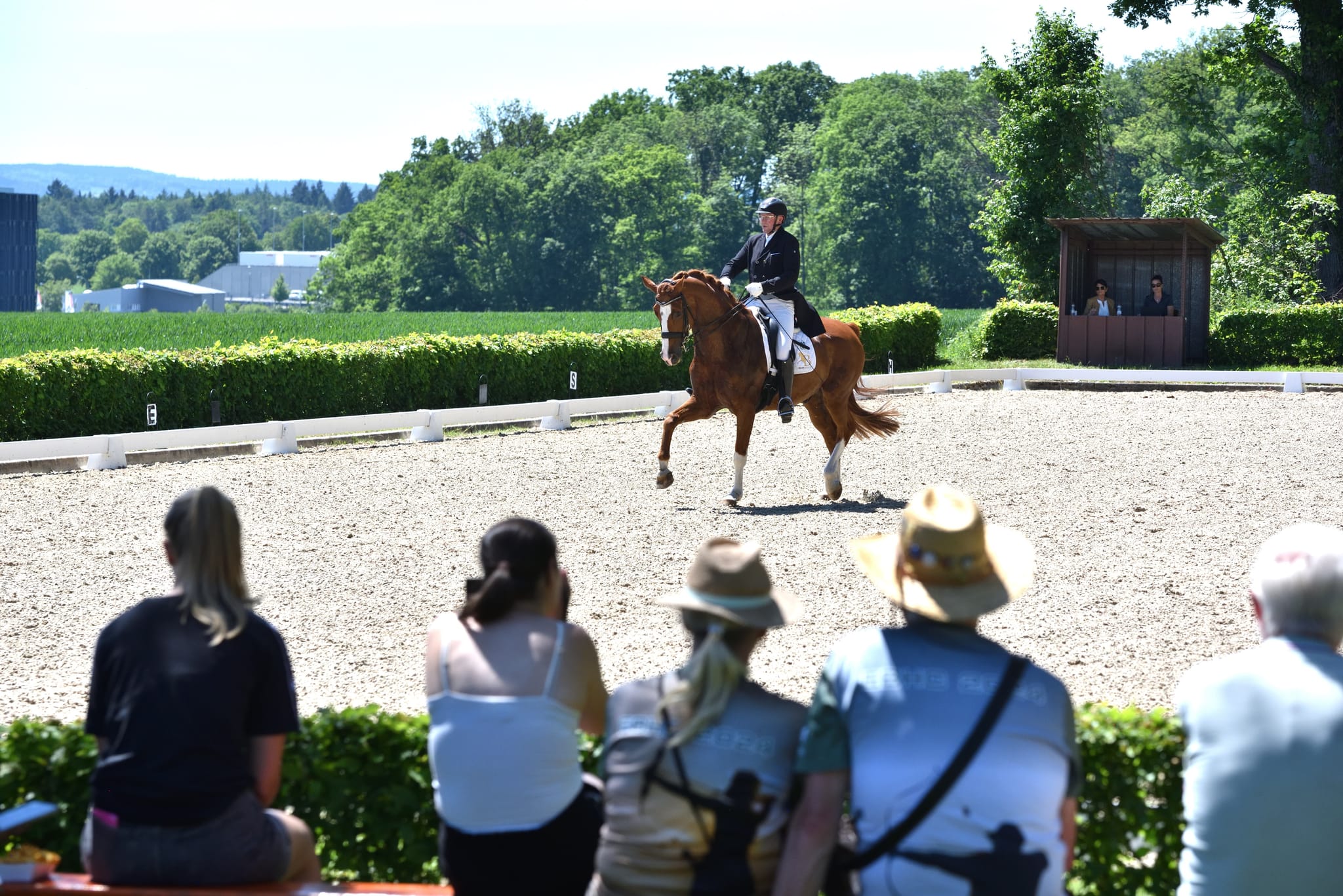 Routinier Hans-Peter Bauer (59, Holzgerlingen) und Dynamico landen in Jettingens S-Dressur an dritter Stelle.