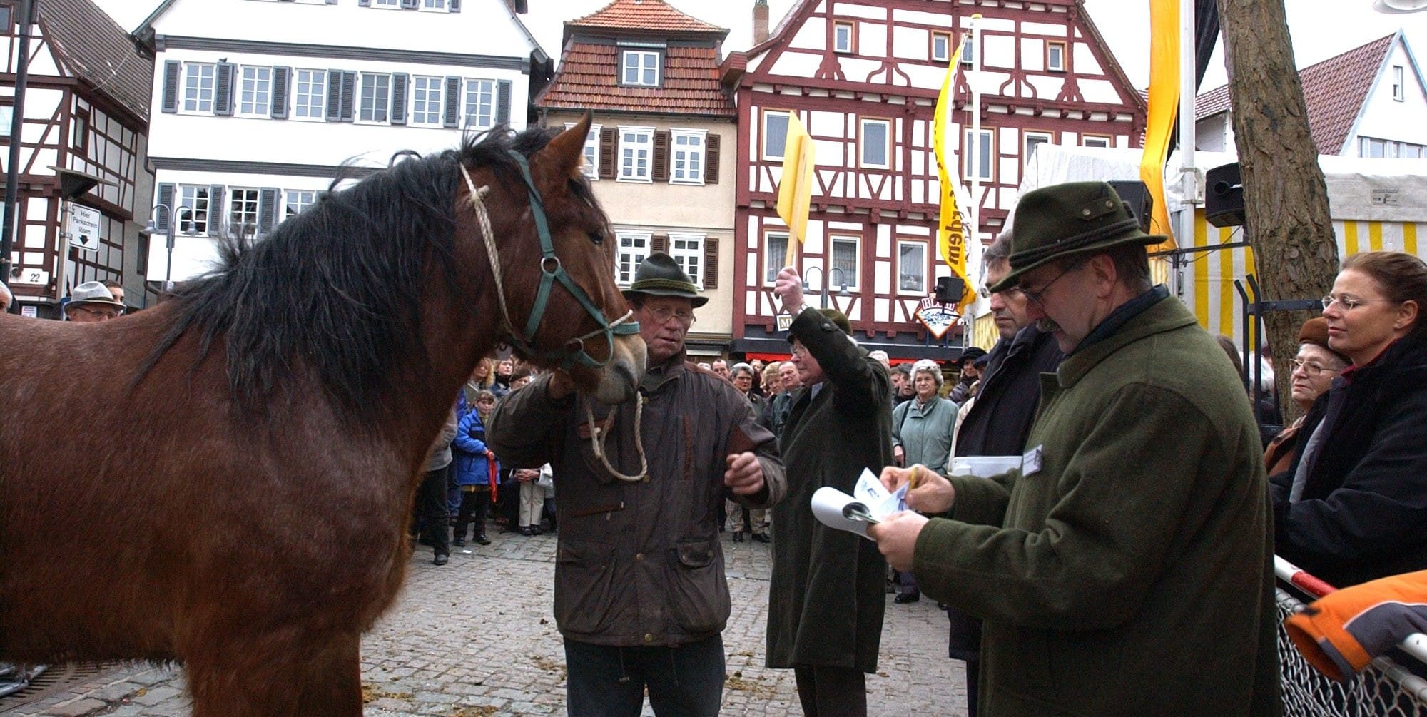 Beim Leonberger Pferdemarkt gehört der Pferdehandel zwingend dazu.