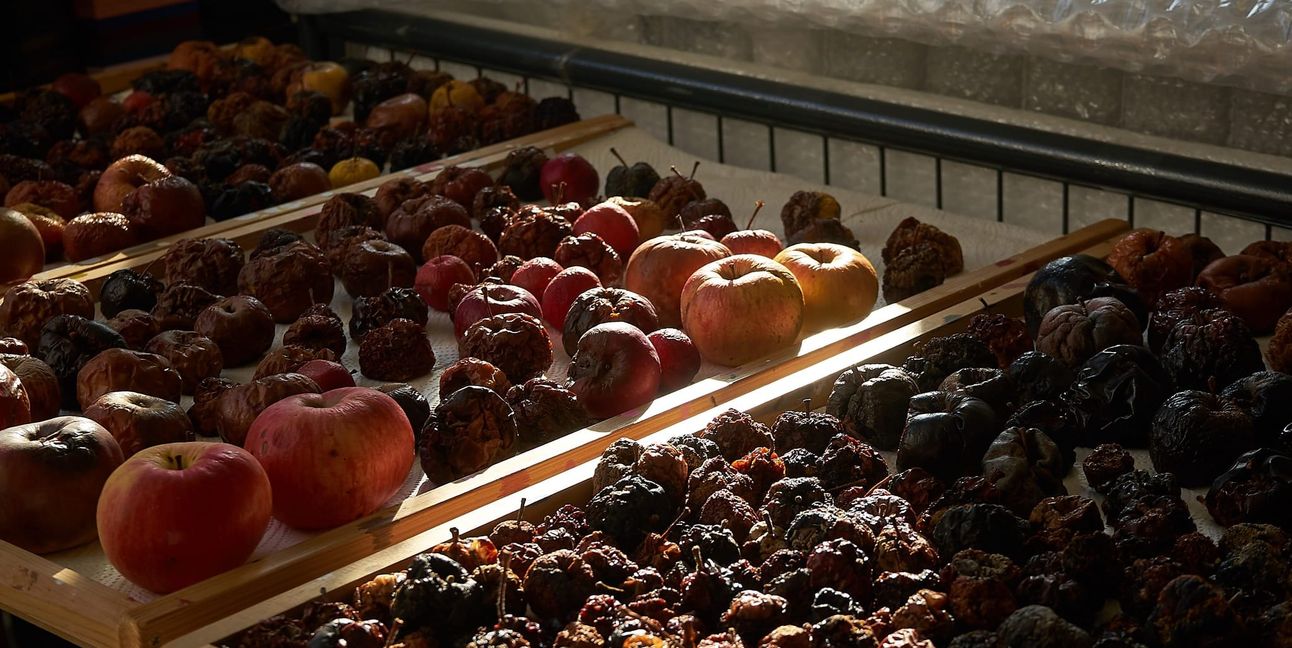 So warten Streuobst-Äpfel im Ars Cubis-Atelier auf ihr Foto-Shooting. Bilder: Heiden