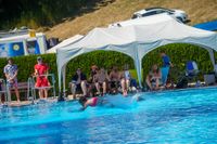 Hier darf es gerne kräftig spritzen: Splash Diving im Sindelfinger Freibad.