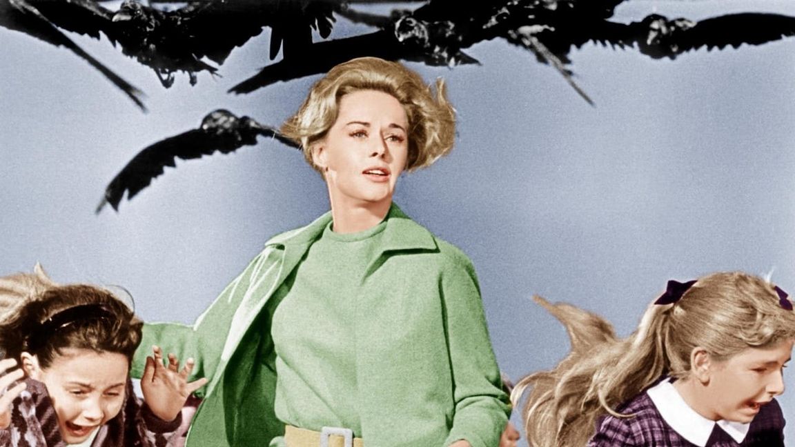 Lauf, Tippy Hedren, lauf, „Die Vögel“ sind hinter der her.