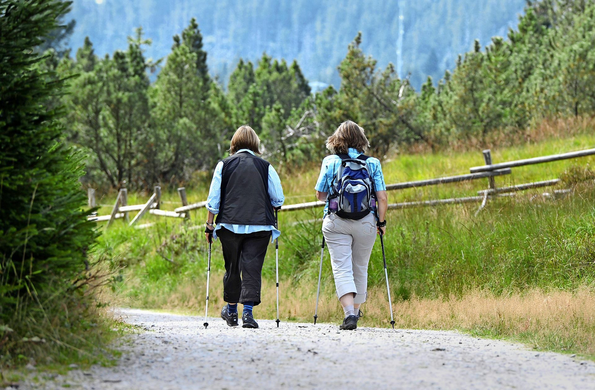 Im Schwarzwald waren dieses Jahr viele Wanderer unterwegs.