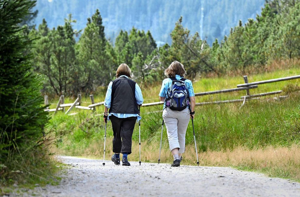 Im Schwarzwald waren dieses Jahr viele Wanderer unterwegs.