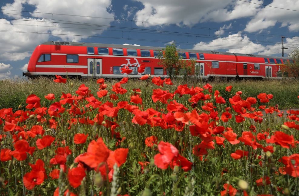 Das 9-Euro-Ticket klingt verlockend nach einer Reise durch Deutschland. (Symbolbild)