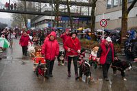 Närrisches Treiben beim Umzug als Abschluss des Leonberger Pferdemarkts.