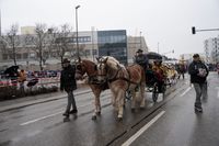 Närrisches Treiben beim Umzug als Abschluss des Leonberger Pferdemarkts.